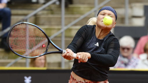 * Диана Шнайдер — Екатерина Макарова. Прогноз и ставка на матч Прогноз на матч * Диана Шнайдер — Екатерина Макарова