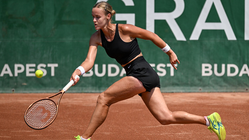 * Анна Шмидлова — Жасмин Паолини. Прогноз и ставка на матч Прогноз на матч * Анна Шмидлова — Жасмин Паолини