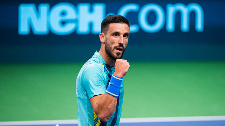 Дамир Джумхур