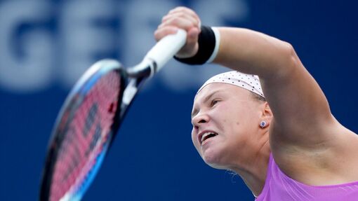 Прогноз на матч * Юлия Путинцева — Диана Шнайдер