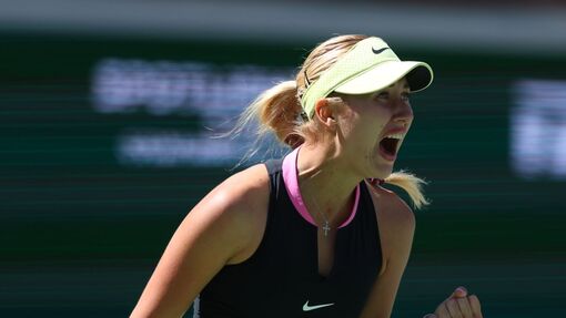 Прогноз на матч Ребекка Шрамкова — Анастасия Потапова *