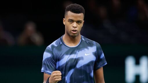 Александр Ковачевич — Джованни Мпетши Перрикар. Прогноз и ставка на матч Прогноз на матч Александр Ковачевич — Джованни Мпетши Перрикар