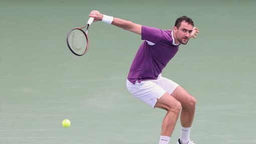 Прогноз на матч * Феликс Оже-Альяссим — Марин Чилич