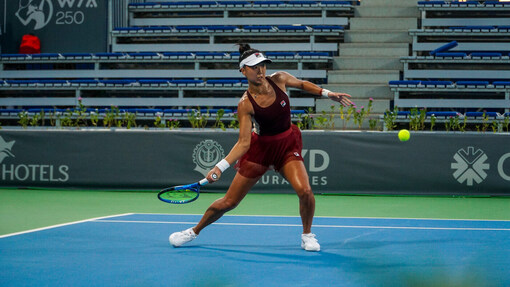 * Энн Ли — Виктория Голубич. Прогноз и ставка на матч Прогноз на матч * Энн Ли — Виктория Голубич