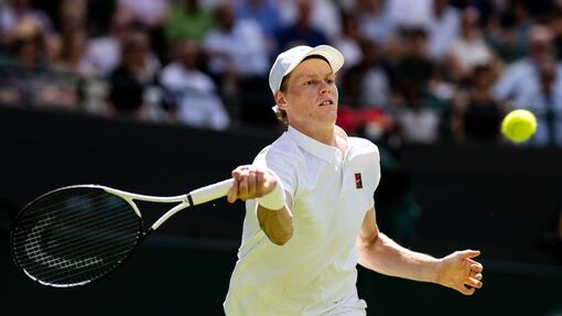 Прогноз на матч * Янник Синнер — Теранс Атман