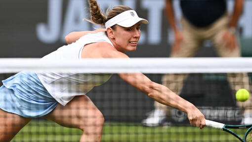 * Екатерина Александрова — Синьюй Ван. Прогноз и ставка на матч Прогноз на матч * Екатерина Александрова — Синьюй Ван