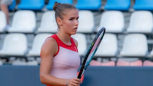 * Барбора Крейчикова — Tatiana Prozorova. Прогноз и ставка на матч Прогноз на матч * Барбора Крейчикова — Tatiana Prozorova