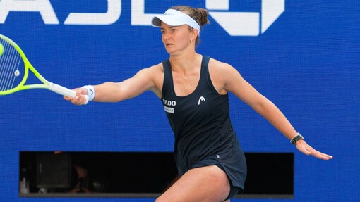 Прогноз на матч * Барбора Крейчикова — Анна Блинкова