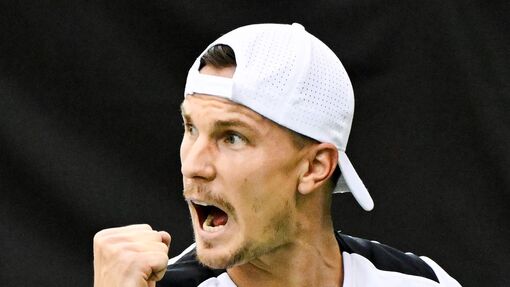 Прогноз на матч * Брэндон Накасима — Мартон Фучович