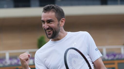 Прогноз на матч Марин Чилич — Каспер Рууд *