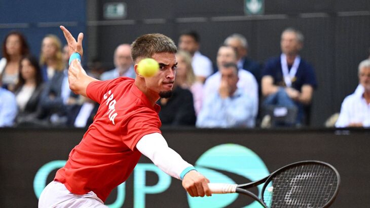 Дино Прижмич