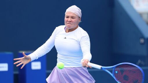 Прогноз на матч Элина Свитолина — Диана Шнайдер