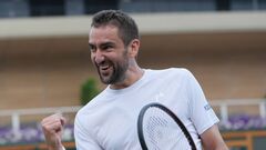 Марин Чилич