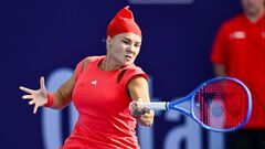 Диана Шнайдер