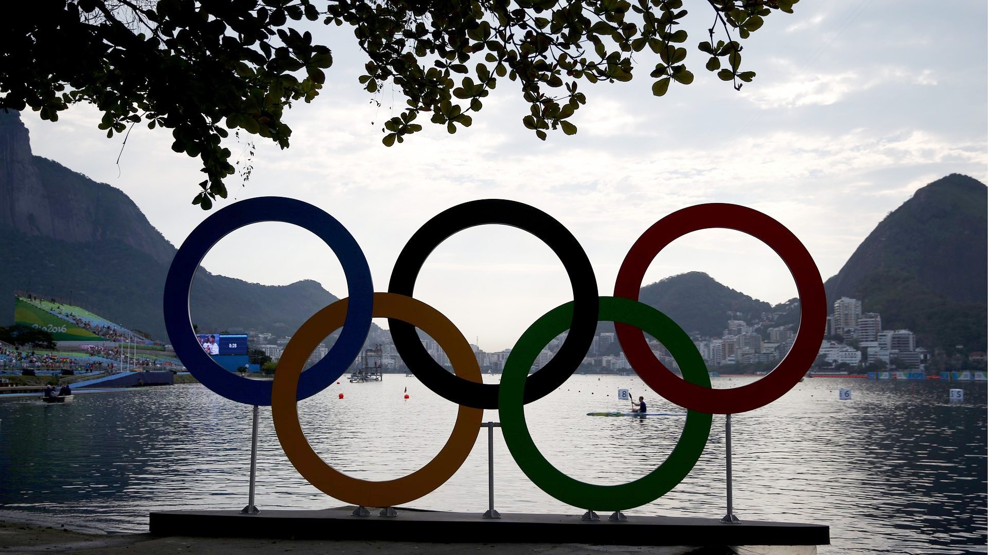 МОК произвел очередной фурор