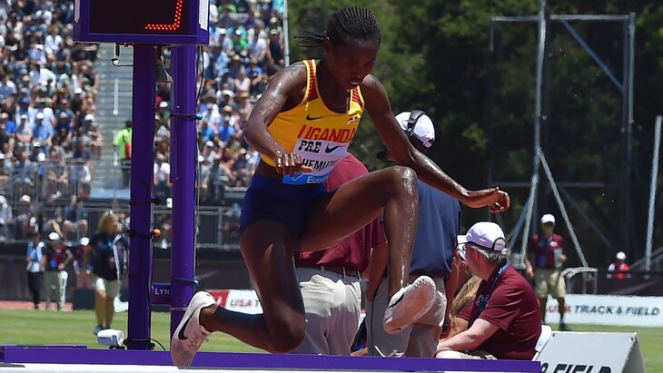 Перут Чемутай